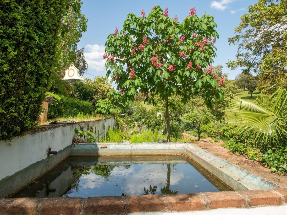 Villa House With Authentic Tiling And Antique Furniture Montemor-o-Novo Exterior foto
