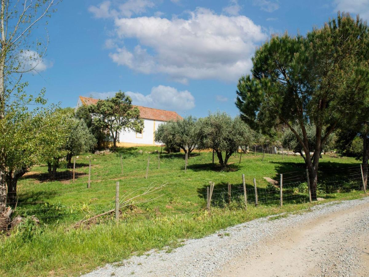 Villa House With Authentic Tiling And Antique Furniture Montemor-o-Novo Exterior foto